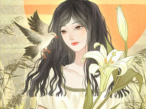 晨百合