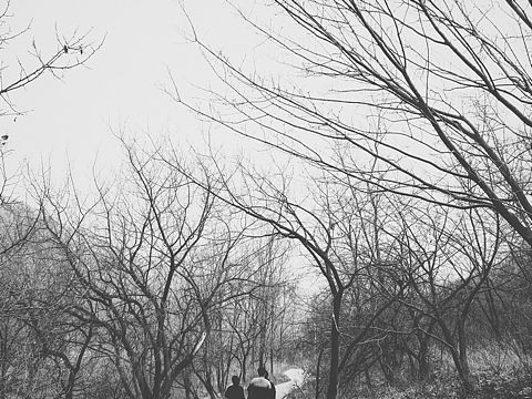 午休公园转一圈