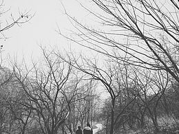 午休公园转一圈