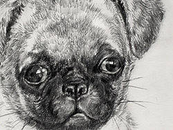 两张速写（个人主页-ZNDA2ODg=） - 绘画 - 站酷设计师arial原创素材 - 站酷ZCOOL