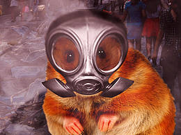 【公益】致命的呼吸