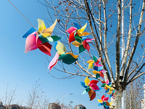 春（個(gè)人主頁-ZNDM0MzMyNDA=） - 人文/紀(jì)實(shí)攝影 - 站酷設(shè)計(jì)師刮胡泡原創(chuàng)素材 - 站酷ZCOOL