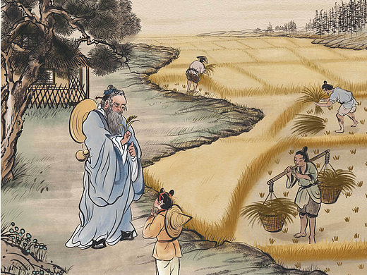 大米包装插画系列