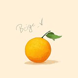 beige_V的头像