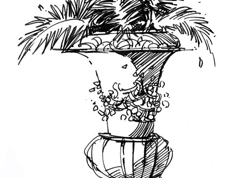 植物表现及运用
