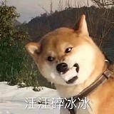 旺柴的头像