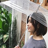 二娃Sevenzero的头像