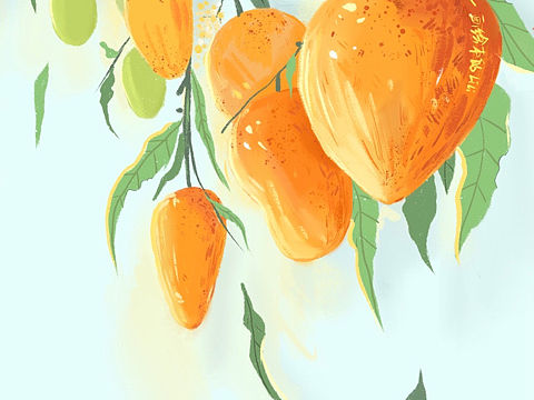 芒果树上的芒果