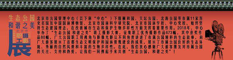 攝影展展板設(shè)計（個人主頁-ZNDA3MDczMDA=） - 海報 - 站酷設(shè)計師智化原創(chuàng)素材 - 站酷ZCOOL