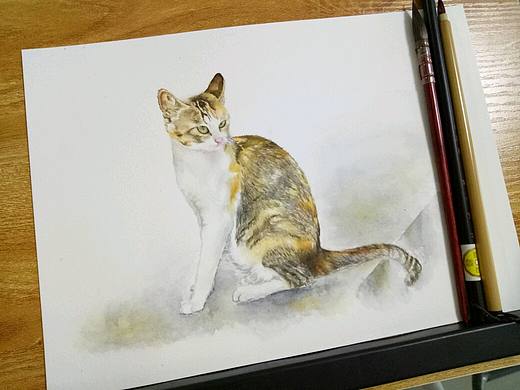 手绘水彩猫咪