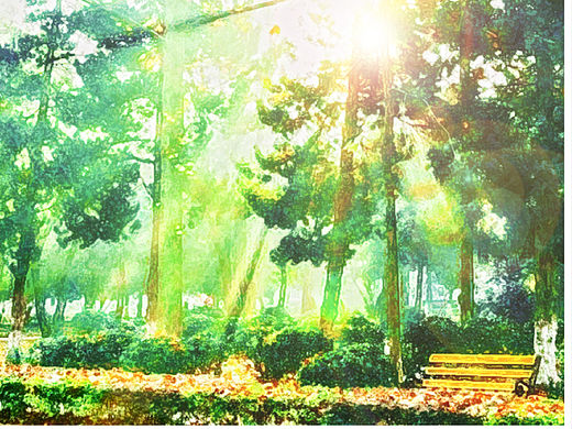 新海诚风格的南林