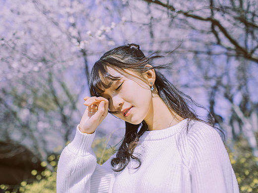 樱花。纪