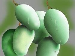 芒果一组（个人主页-ZMjY2MTM5Ng==） - 主题/皮肤 - 站酷设计师huadoulili原创素材 - 站酷ZCOOL