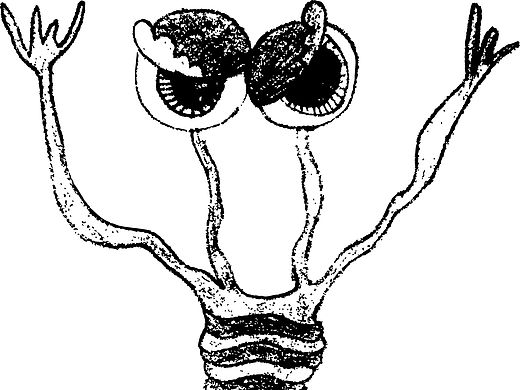 小怪兽（个人主页-ZMTQzMjYwNjQ=） - 创作习作 - 站酷设计师chengshuxiu原创素材 - 站酷ZCOOL