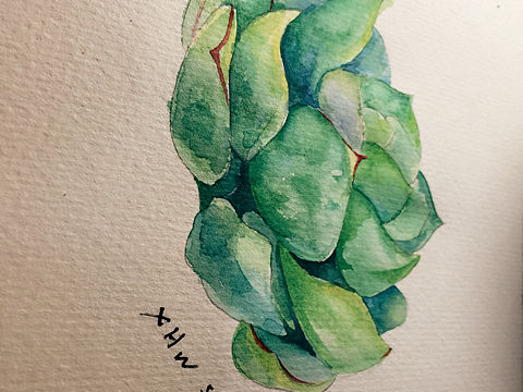 我妈说这是菜花，我爱妈妈