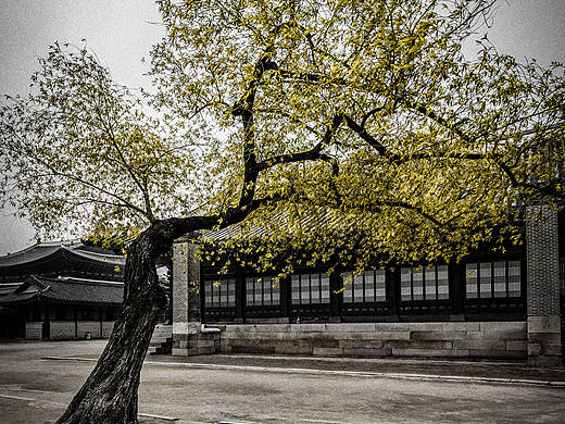 秋之诗（个人主页-ZMTY2MzM3NTY=） - 修图/后期 - 站酷设计师假装文艺的铲屎官原创素材 - 站酷ZCOOL