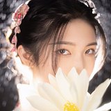 JudithOrr的头像