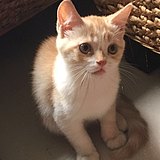 孙启的头像