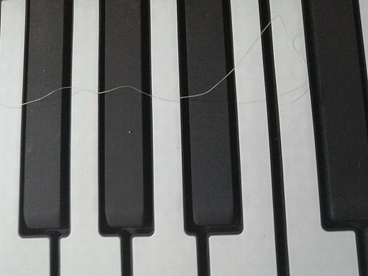 黑白—矛盾（个人主页-ZNTQwMzE1MjA=） - 场景 - 站酷设计师Z979869389原创素材 - 站酷ZCOOL