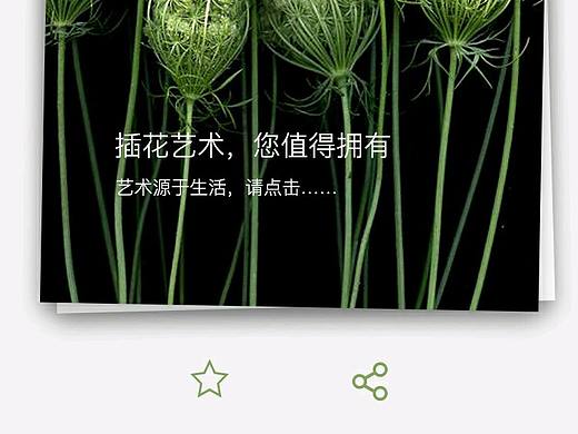 Flower Life