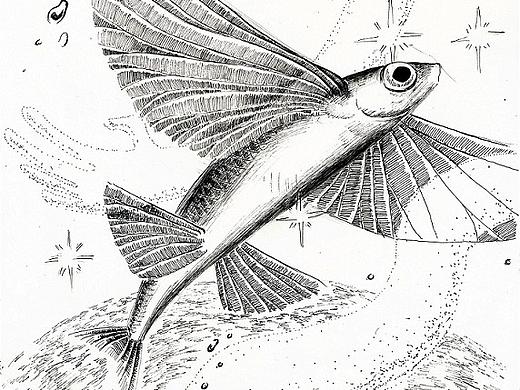 少年科幻（個人主頁-ZMTg4MTE5Njg=） - 商業(yè)插畫 - 站酷設(shè)計師小呀么小黑原創(chuàng)素材 - 站酷ZCOOL