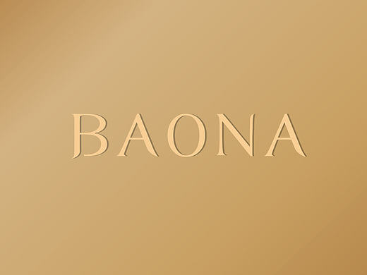 BAONA - 企业画册