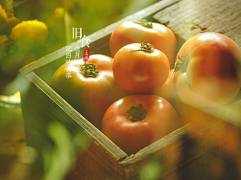 旧食｜晚熟的番茄🍅