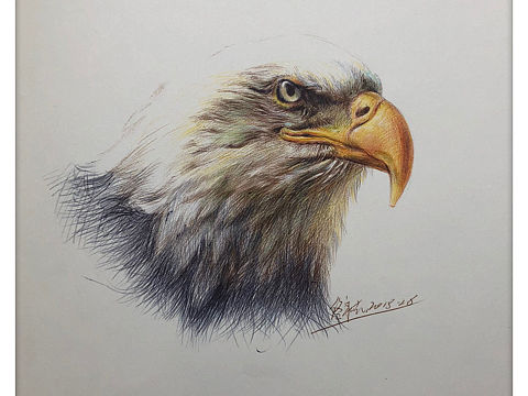 圆珠笔小画