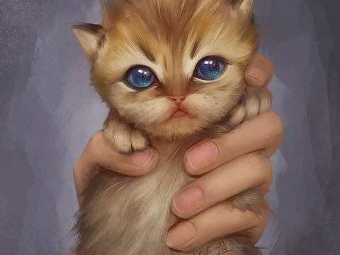 小奶猫
