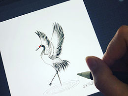 Procreate 日常练习