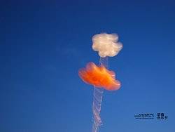 2009年5月3号 草莓音乐节