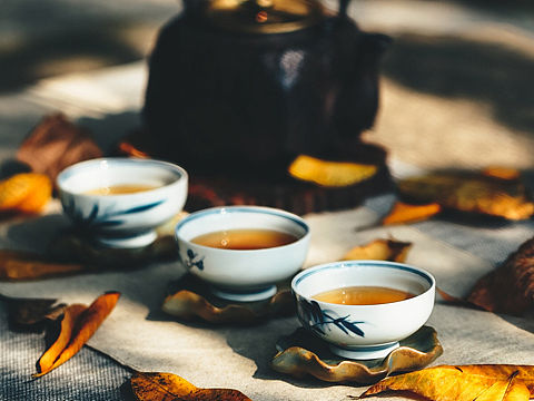 #1252第二十三轮约拍##茶#