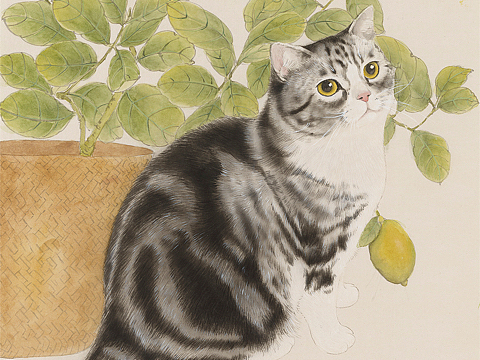 柠檬树和美短猫咪 国画画猫