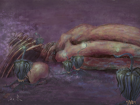 巨鲸落，万物生