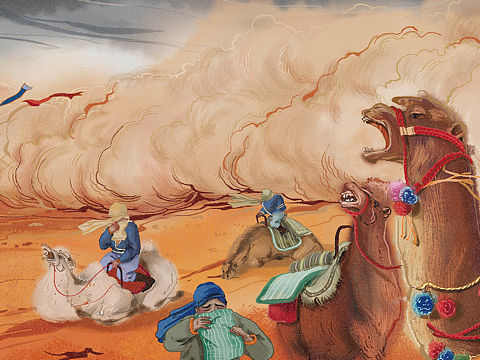 《丝路驼铃》- 敦煌文化科普绘本