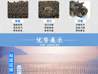海参详情