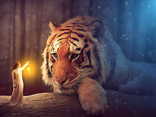 和TA和平相处-合成练习