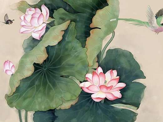 工笔国画插画 花鸟 荷花