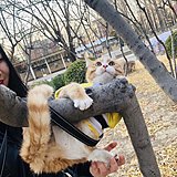 董创作的头像