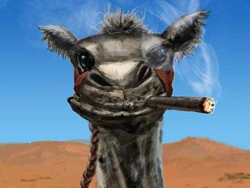 角色设定（个人主页-ZMjA4OTg4NTY=） - 创作习作 - 站酷设计师赏善罚恶原创素材 - 站酷ZCOOL