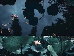 夏·荷