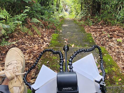 瓜哥微距-山中扫荡