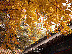 祈福