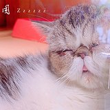 Z90140034的头像