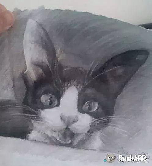 練習（個人主頁-ZNTAxODg1MzY=） - 繪畫 - 站酷設(shè)計師許Fox原創(chuàng)素材 - 站酷ZCOOL