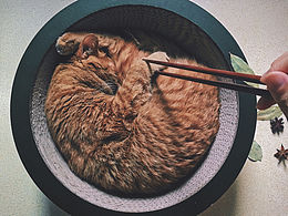 今天的晚饭是一碗陈颠颠