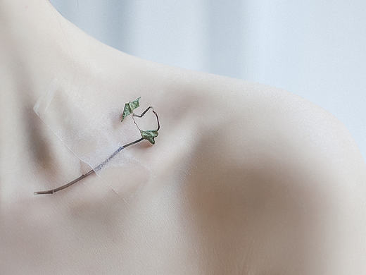 深深话,浅浅说-绿妖工作室