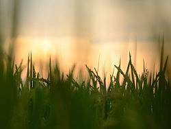 ·八月大理·（个人主页-ZMjUzMjczNg==） - 其他摄影 - 站酷设计师蝴蝶灵魂原创素材 - 站酷ZCOOL