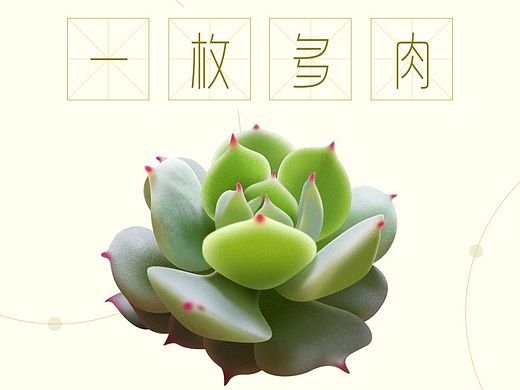 一枚多肉（临摹实物练习）