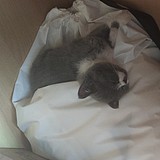 LzzRz的头像
